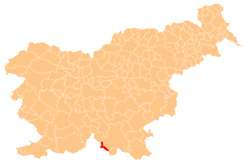 Municipality of Osilnica